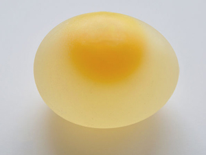 eggshell
